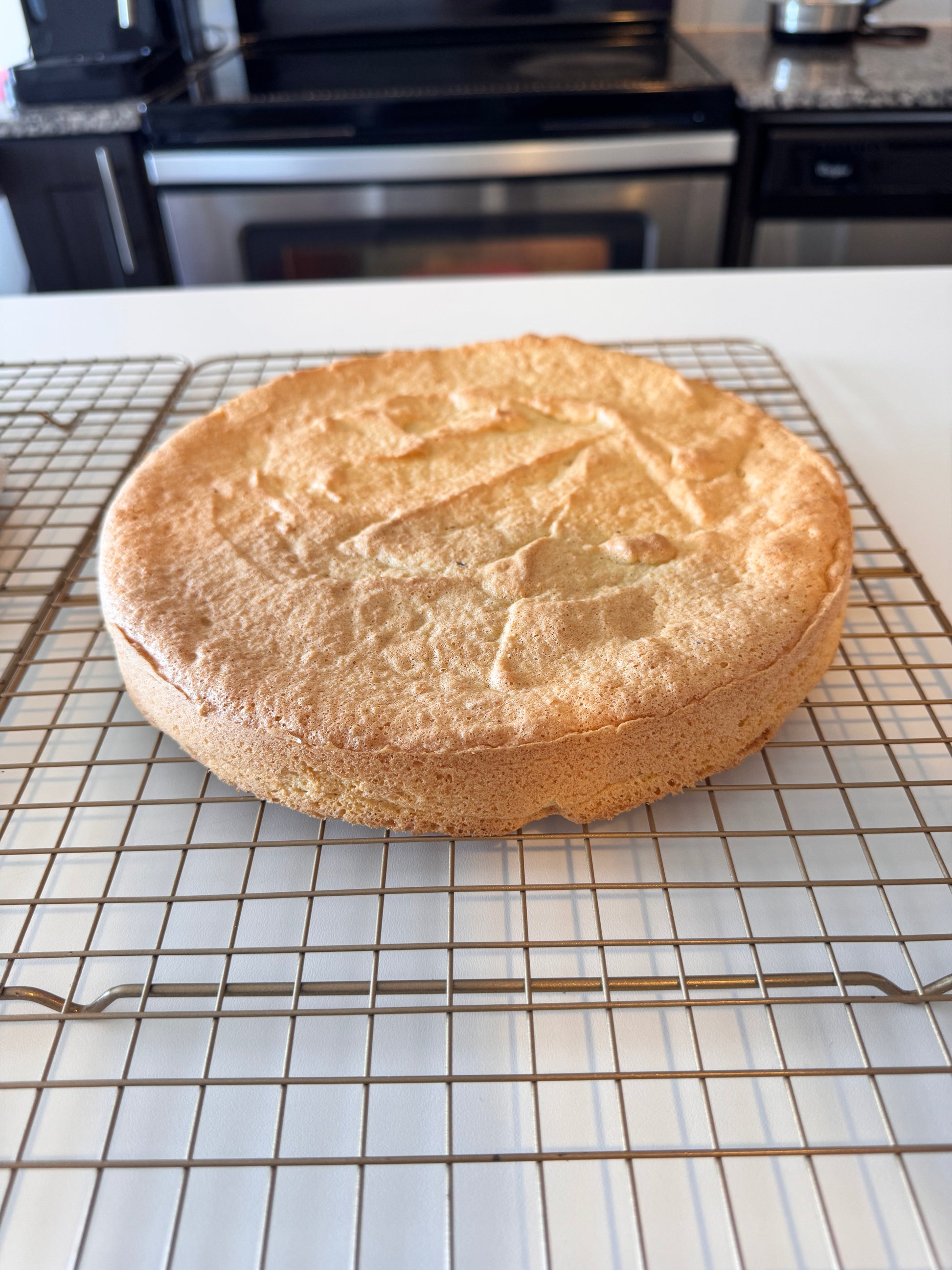 Plain Keto Sponge Cake Layers, 8 Inch
